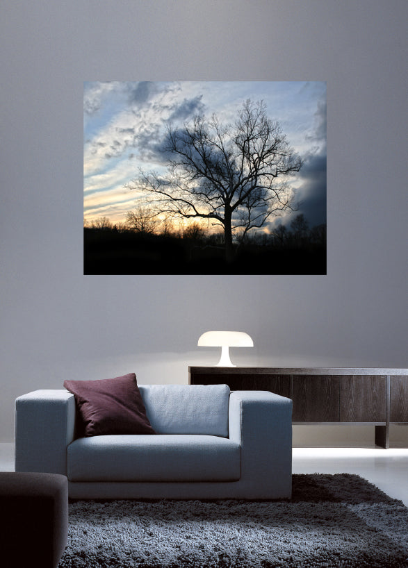 Batie "Sunset Tree" Wall Decal 29"x36" - CUSTOMER RETURNED CLEARANCE