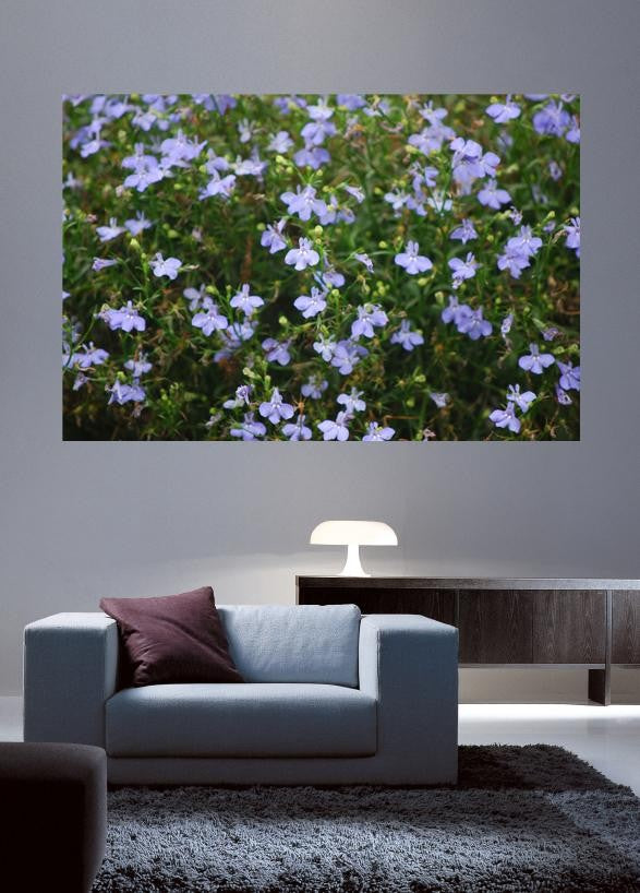 Clark Flowers Glossy Poster