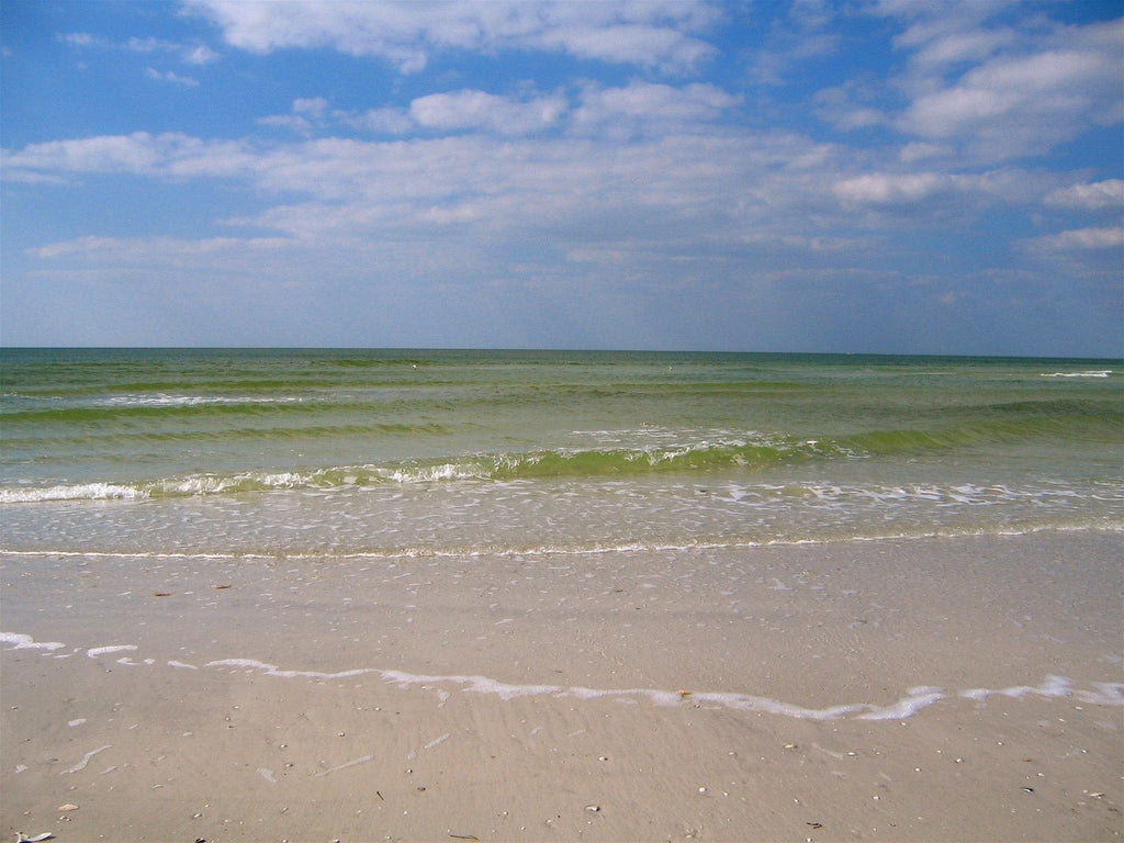 Kraft "Sunny Day, Calm Sea" Glossy Poster