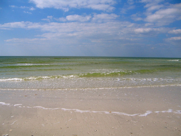 Kraft "Sunny Day, Calm Sea" Glossy Poster