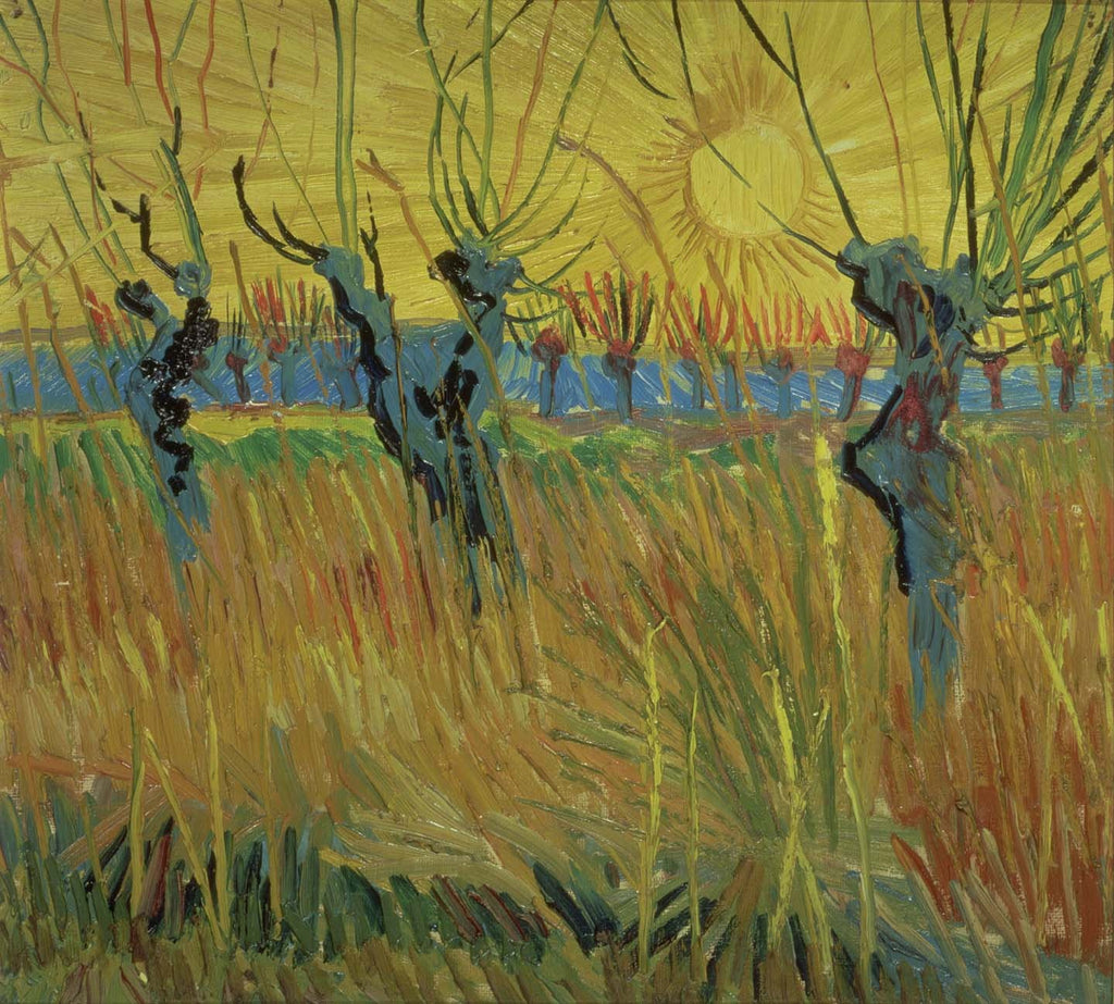 van Gogh "Pollarded Willows and Setting Sun" (1888) Glossy Poster