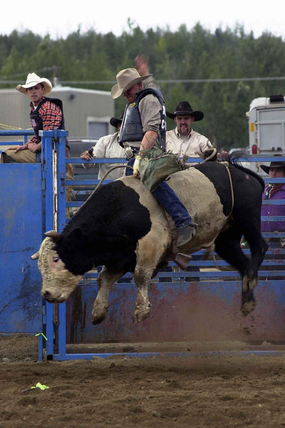 Searchlight GP Rodeo Glossy Poster
