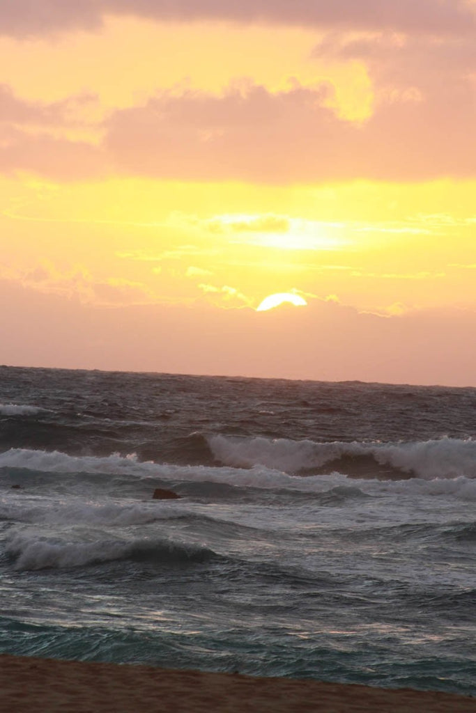 Howard Sunrise I Wall Decal