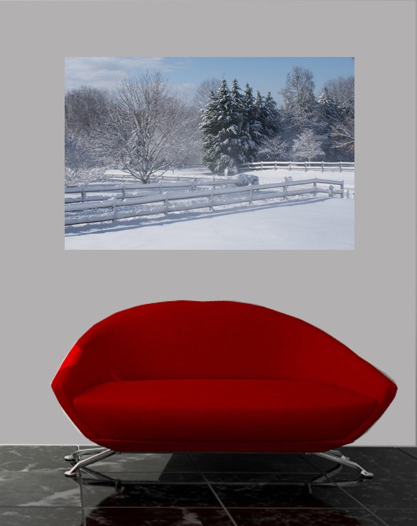 Viar Snow Glossy Poster
