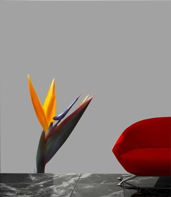 Hollis Yellow Bird of Paradise Wall Decal Cutout