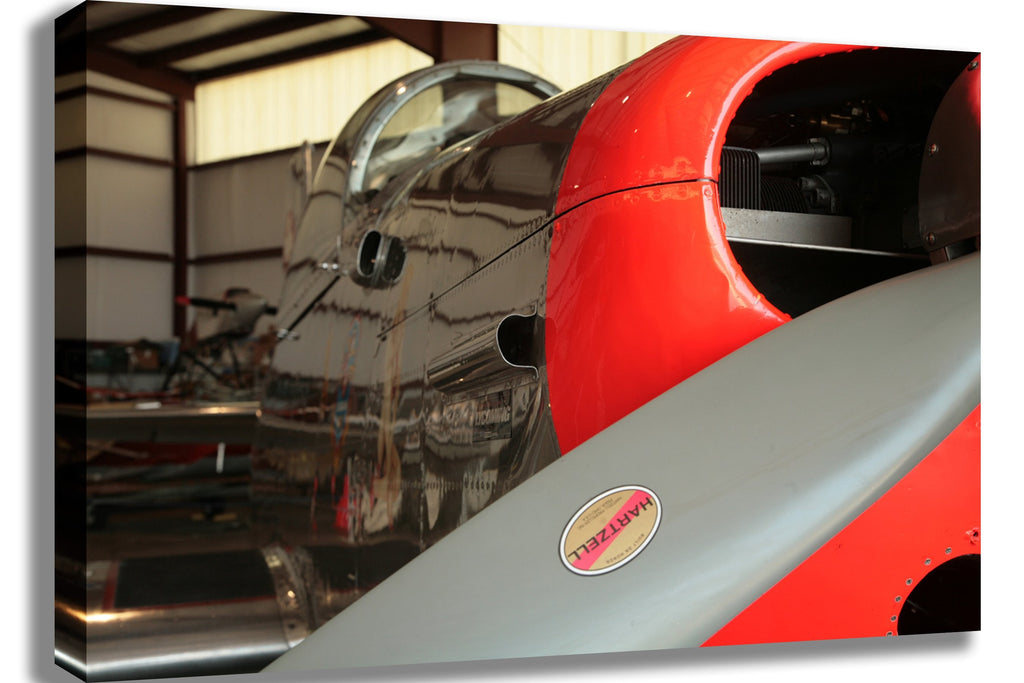 Daylily Dreams Airplane Canvas Printed