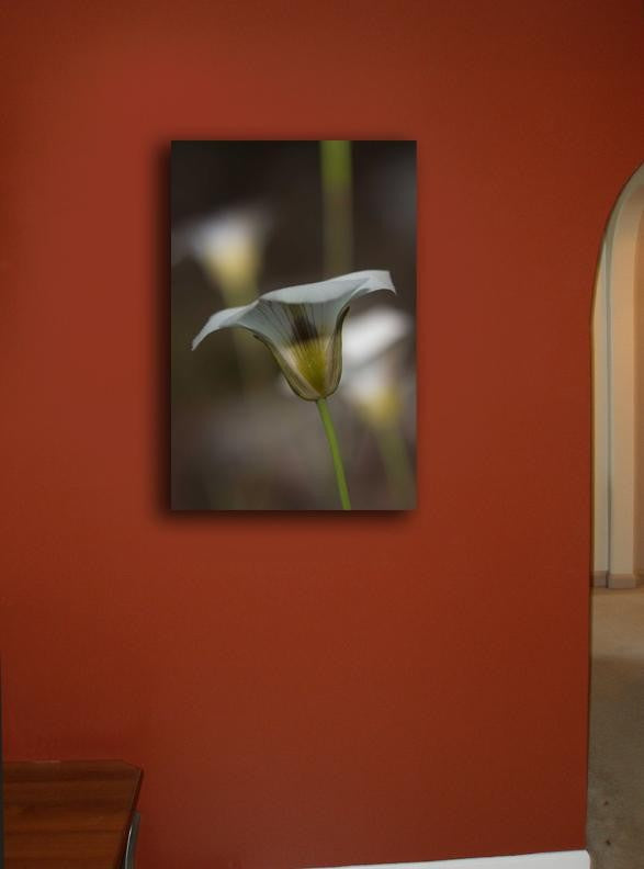 DeWitt Flower III Canvas Installed