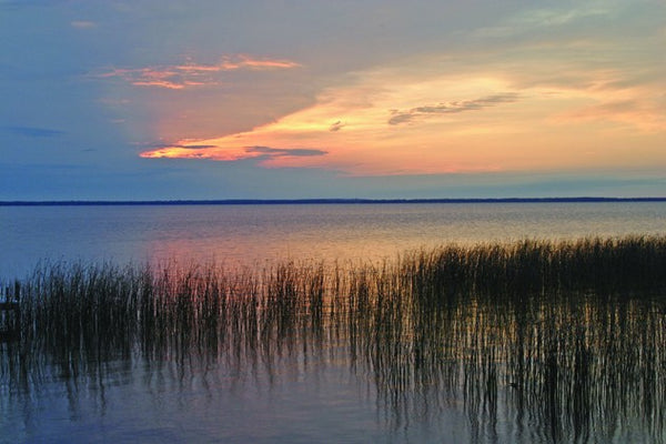 Hogan Lake I Wall Decal