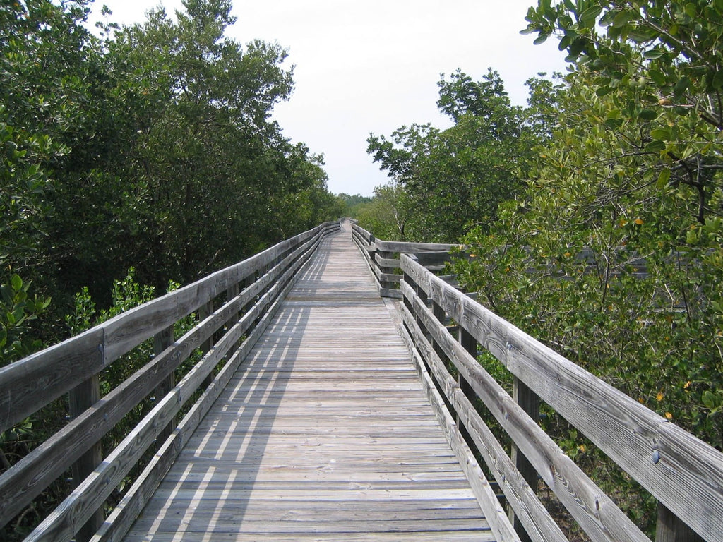 Kraft "Long Boardwalk" Glossy Poster