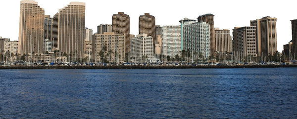 Howard Honolulu Wall Decal Cutout