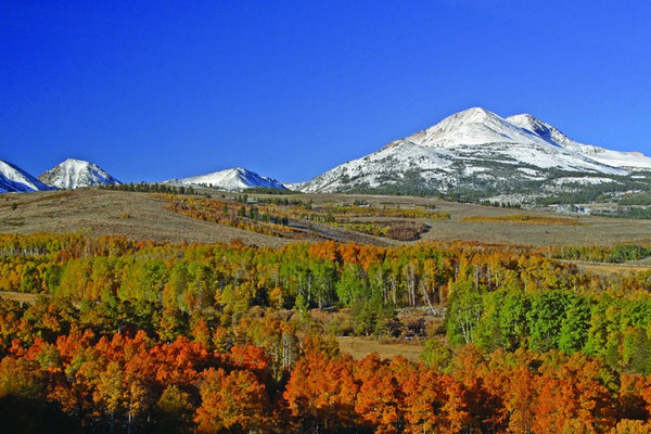 Hogan Mountain XII Glossy Poster