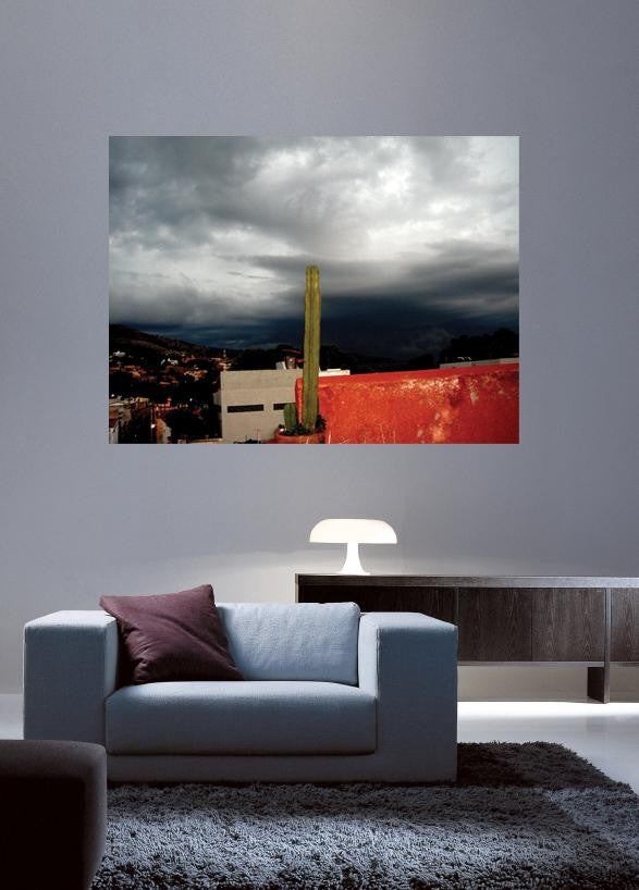 Warren Mexico V Glossy Poster