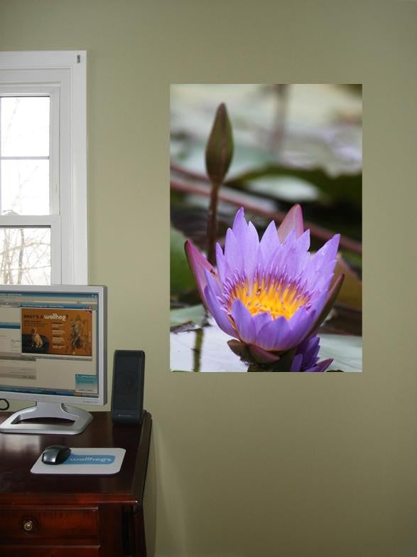 Howard Purple Flower Glossy Poster
