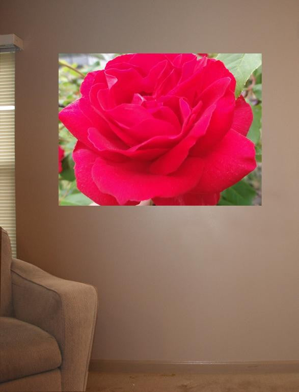 Sumerlin Red Crimson Rose Wall Decal