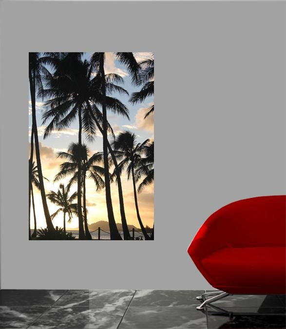 Howard Palm Sunset Glossy Poster