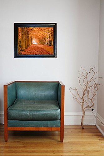 Changing Leaves Framed 3D Lenticular Picture 14.5"x18.5" Installed
