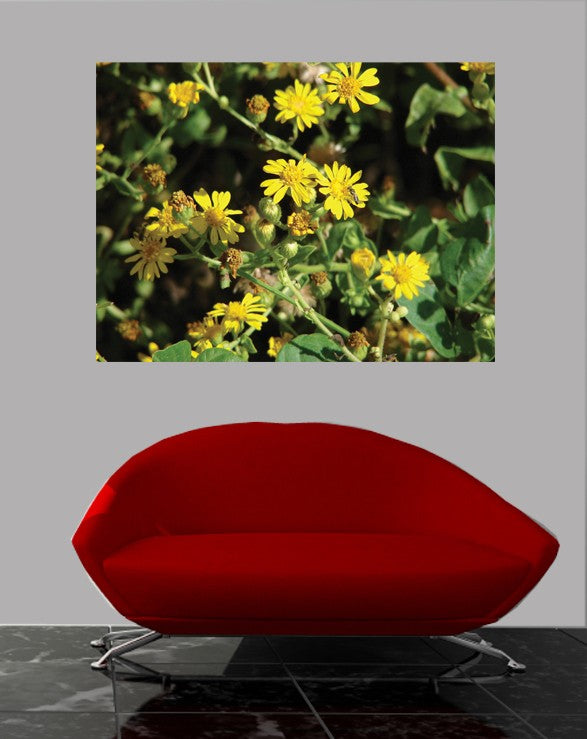 Viar Nature Glossy Poster