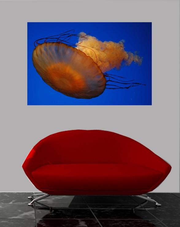 Guernsey Jellyfish III Glossy Poster