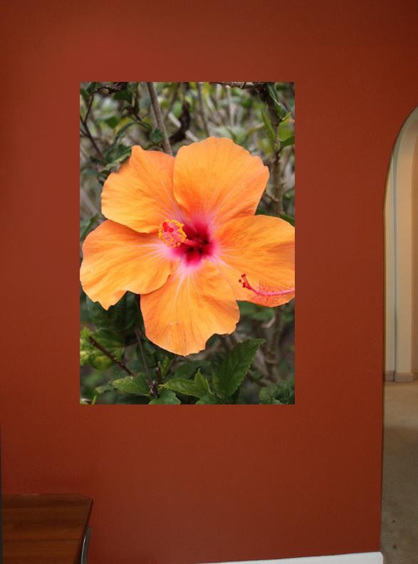 Howard Orange Hybiscus Wall Decal