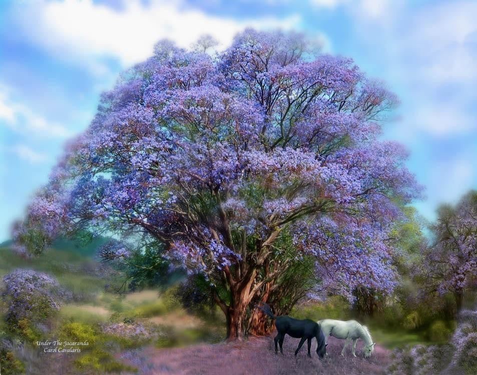 Cavalaris "Under The Jacaranda" Wall Decal