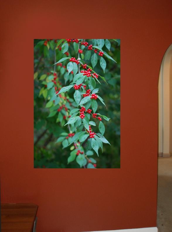 Clark Berries Glossy Poster