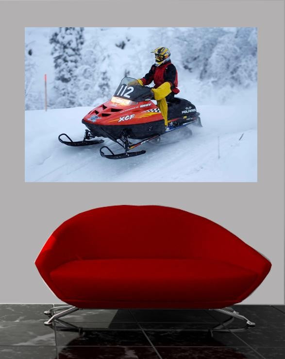 Searchlight GP Arctic III Wall Decal