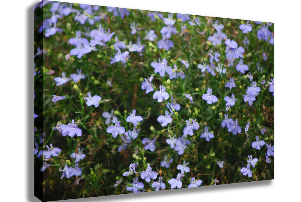 Clark Flowers Canvas Printed