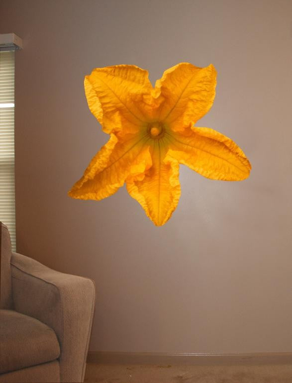 Hollis Yellow Squash Blossom Wall Decal Cutout