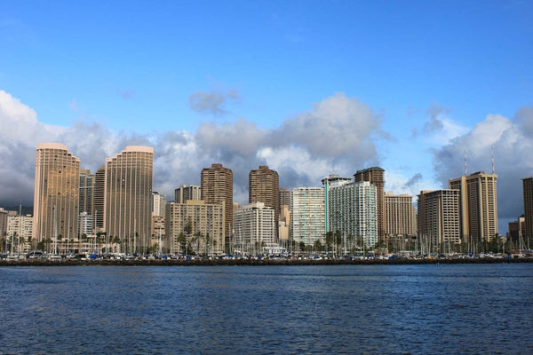 Howard Honolulu Glossy Poster