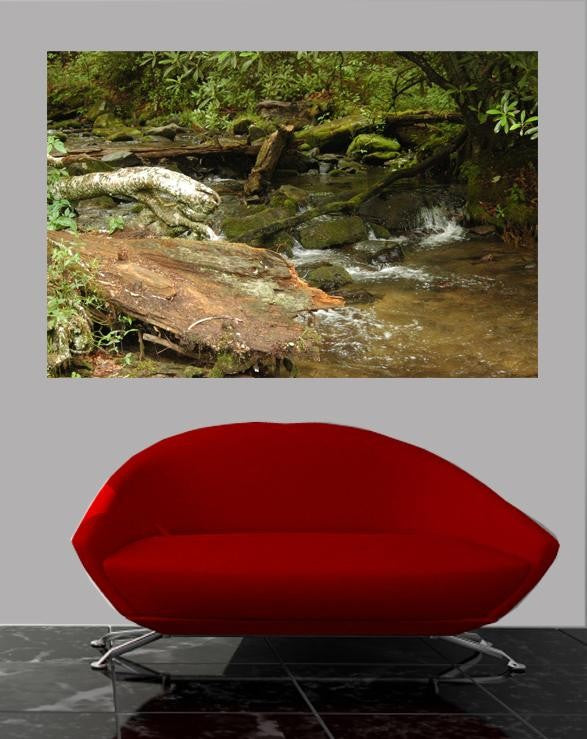 Guernsey Stream Glossy Poster