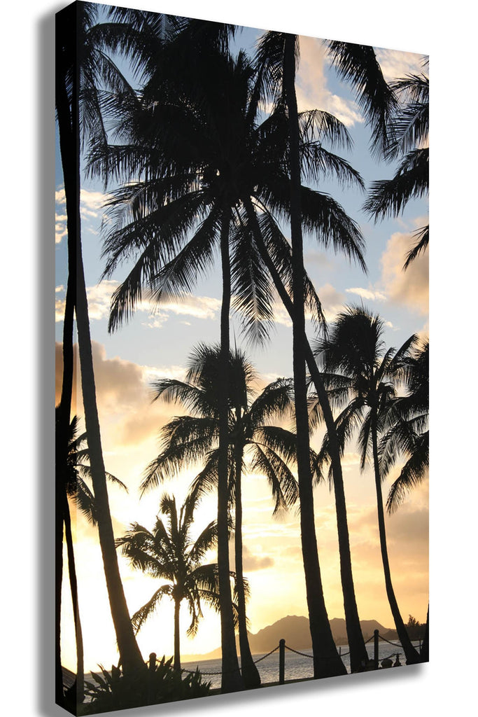 Howard Palm Sunset Canvas Printed