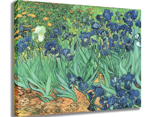 van Gogh "Irises" (1889) Canvas Printed