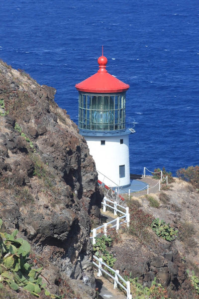 Howard "Fence to Light" Wall Decal