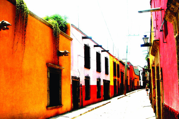 Warren Mexico XVI Glossy Poster