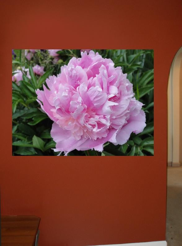 Sumerlin Lavender Peony Wall Decal
