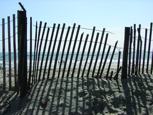 Viar Beach I Wall Decal