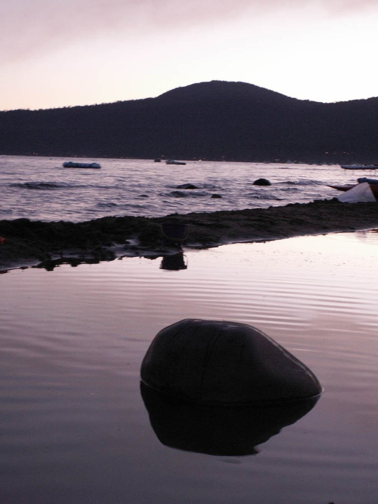 Howard "Ripples" Wall Decal