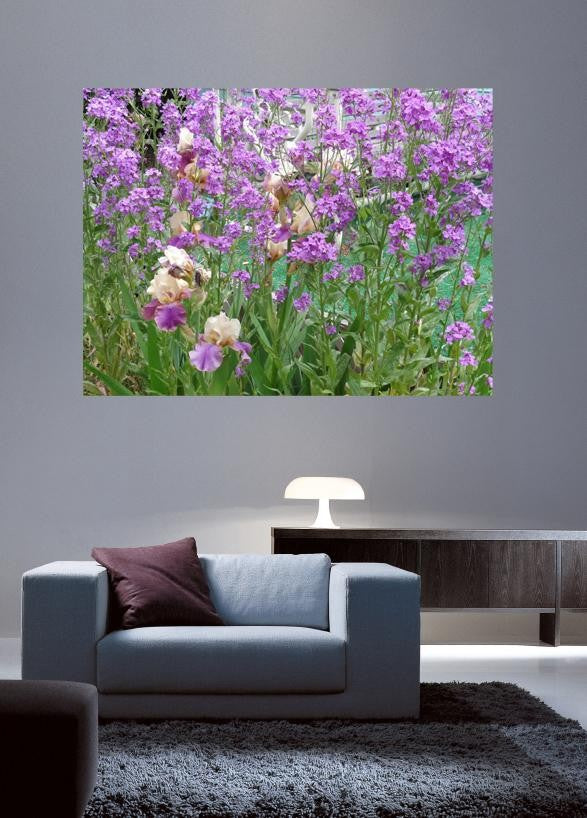 Sumerlin Irises Wall Decal