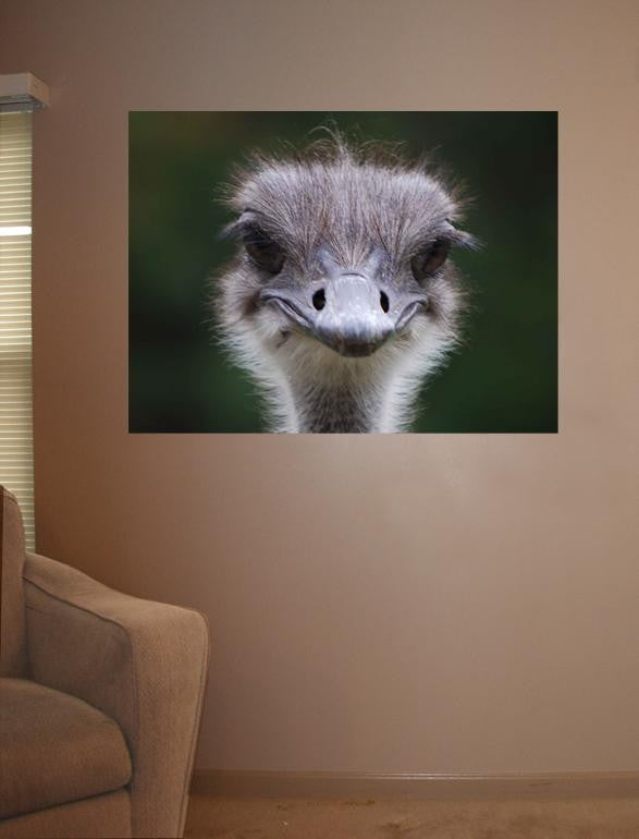 Clark Ostrich Wall Decal