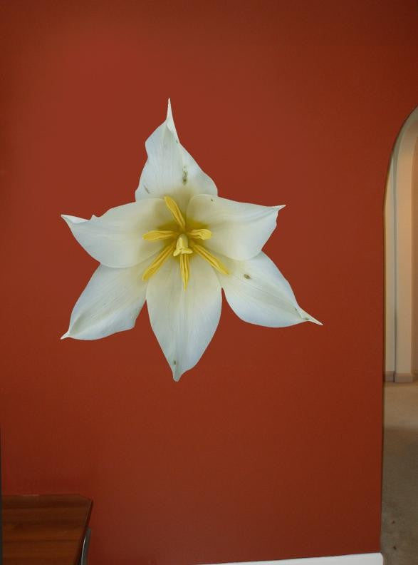 Hollis White Tulip Wall Decal Cutout