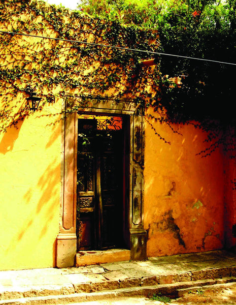 Warren Mexico XV Wall Decal