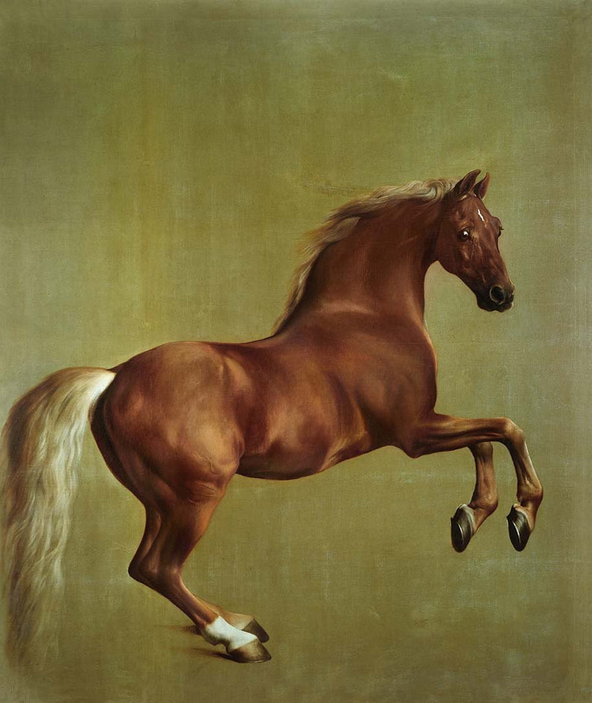 Stubbs "Whistlejacket" (1762) Glossy Poster
