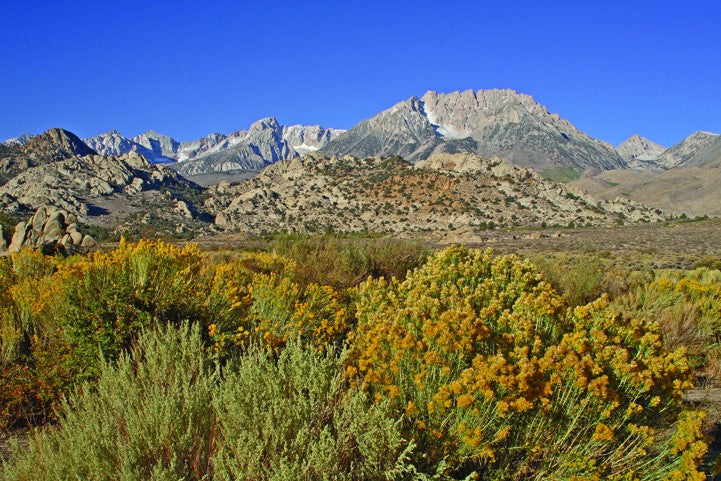 Hogan Mountain XI Glossy Poster