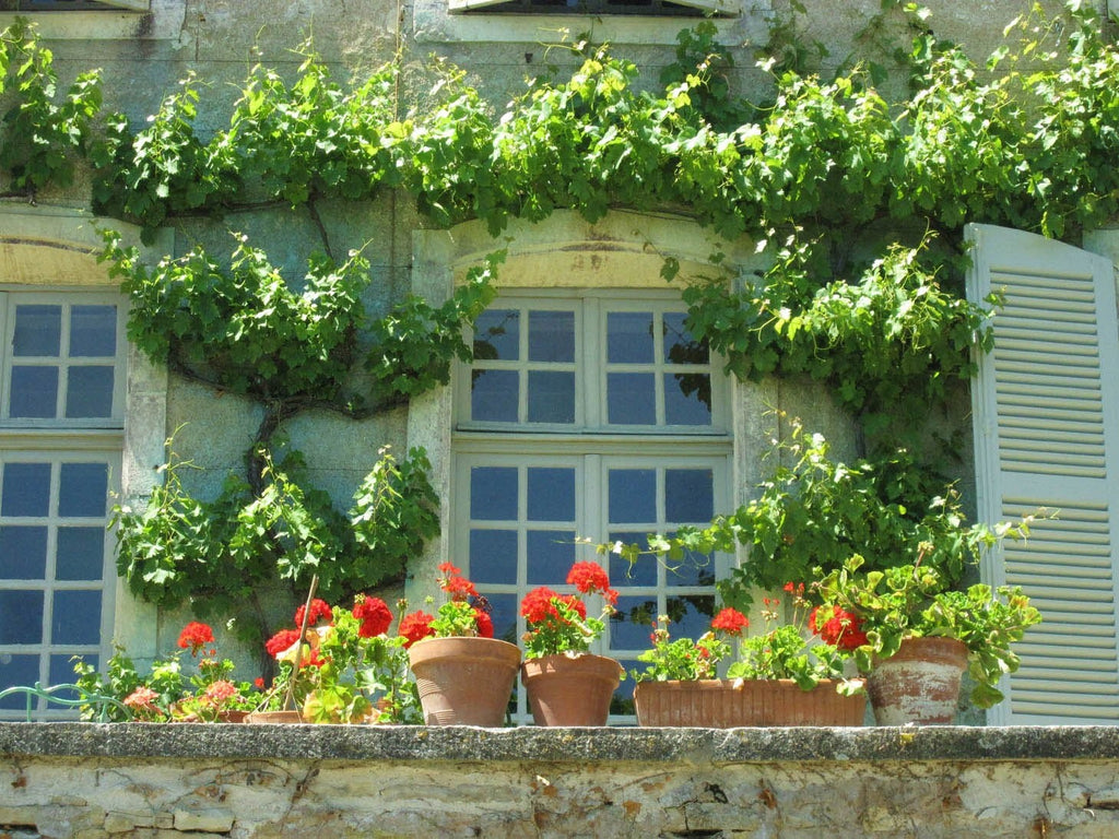 Wilcox "Auvillar Medieval France" Wall Decal