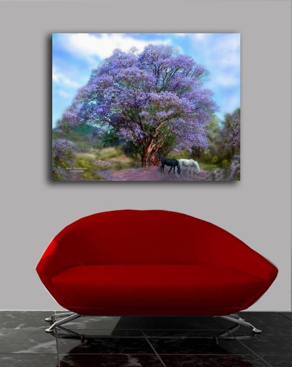 Cavalaris "Under The Jacaranda" Canvas Installed