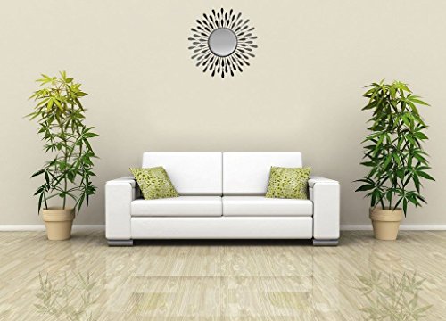 Lulu Decor 23" Beveled Black Wall Mirror Installed