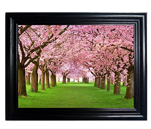 SEASONS FRAMED Wall Art w/ Lenticular Technology 14.5" x 18.5"