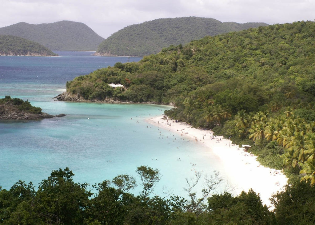 Howard "Hawaiian Tropics" Glossy Poster