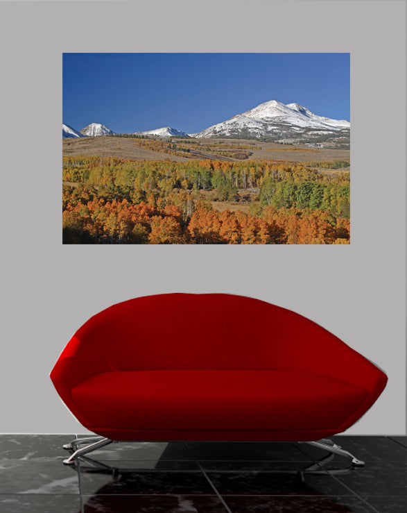 Hogan Mountain XII Wall Decal