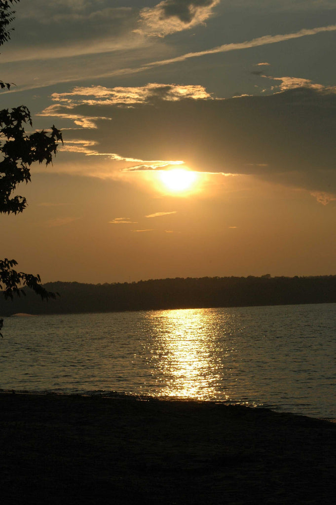 Guernsey Sunset II Wall Decal